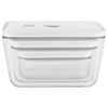 Fresh & Save, S/M/L / 3-pc, Vacuum Container Set, Grey, small 3