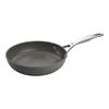 Salina, 24 cm / 9.5 inch aluminum Frying pan, small 1