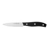 Definition, 10 cm Paring knife, small 1