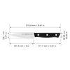 Dynamic, 4-inch, Paring Knife, small 2