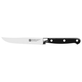 Update International SK-20P Steak Knife Plastic Handle (Black) (price per  dozen)