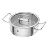 Pro, 24 cm Serving pan, small 1