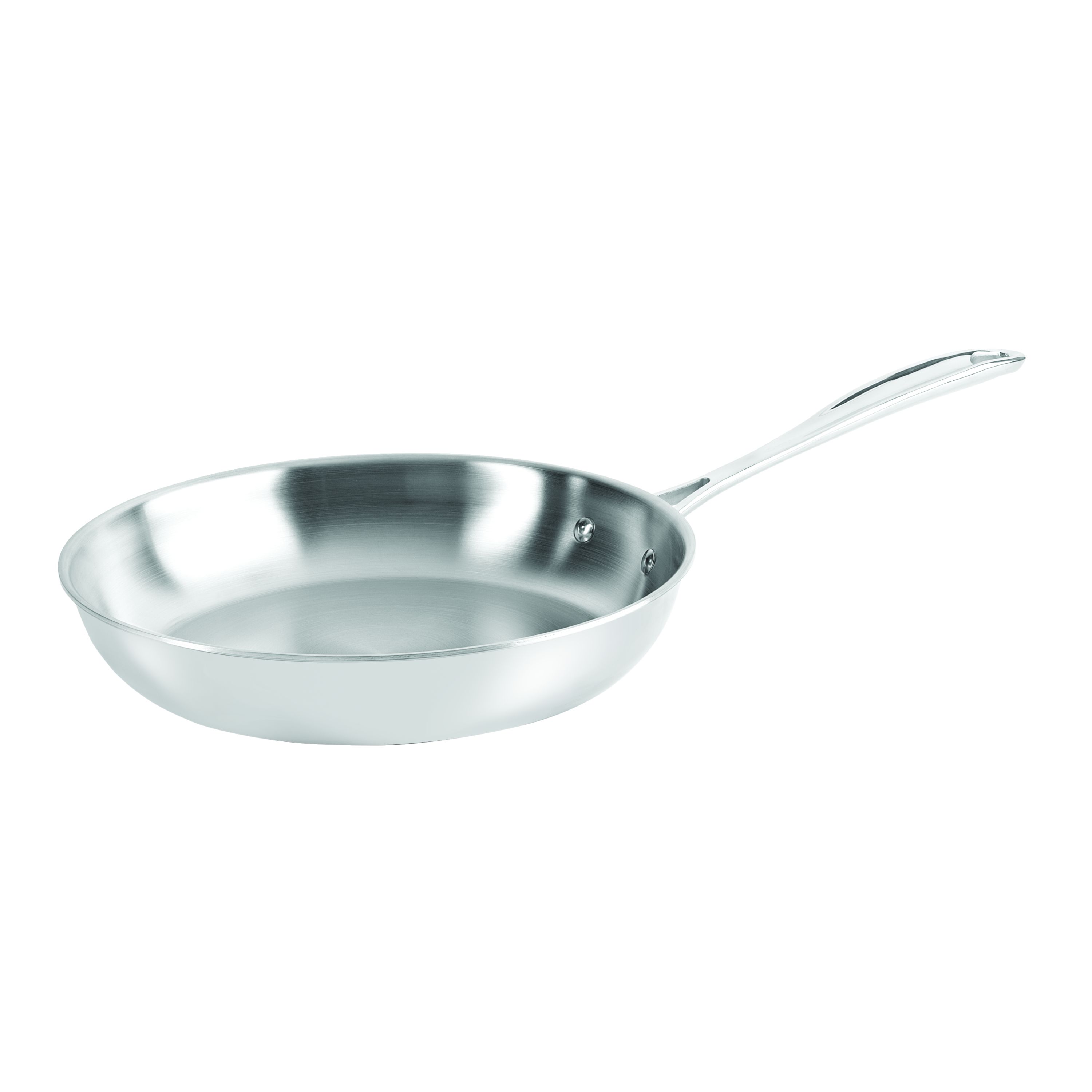 https://www.zwilling.com/on/demandware.static/-/Sites-zwilling-master-catalog/default/dw3e5234f4/images/large/10inch-Frypan.jpg