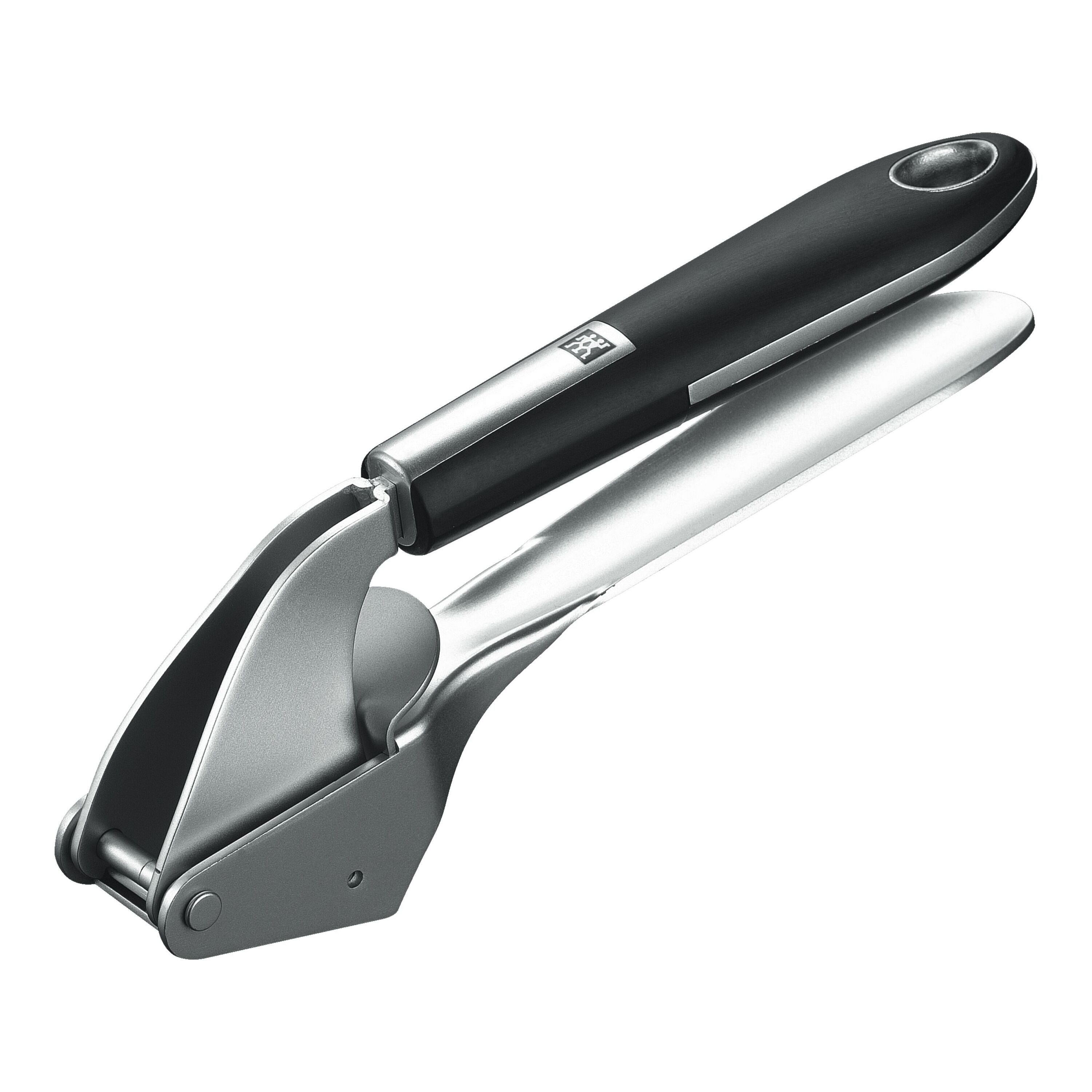 GARLIC PRESS definition in American English