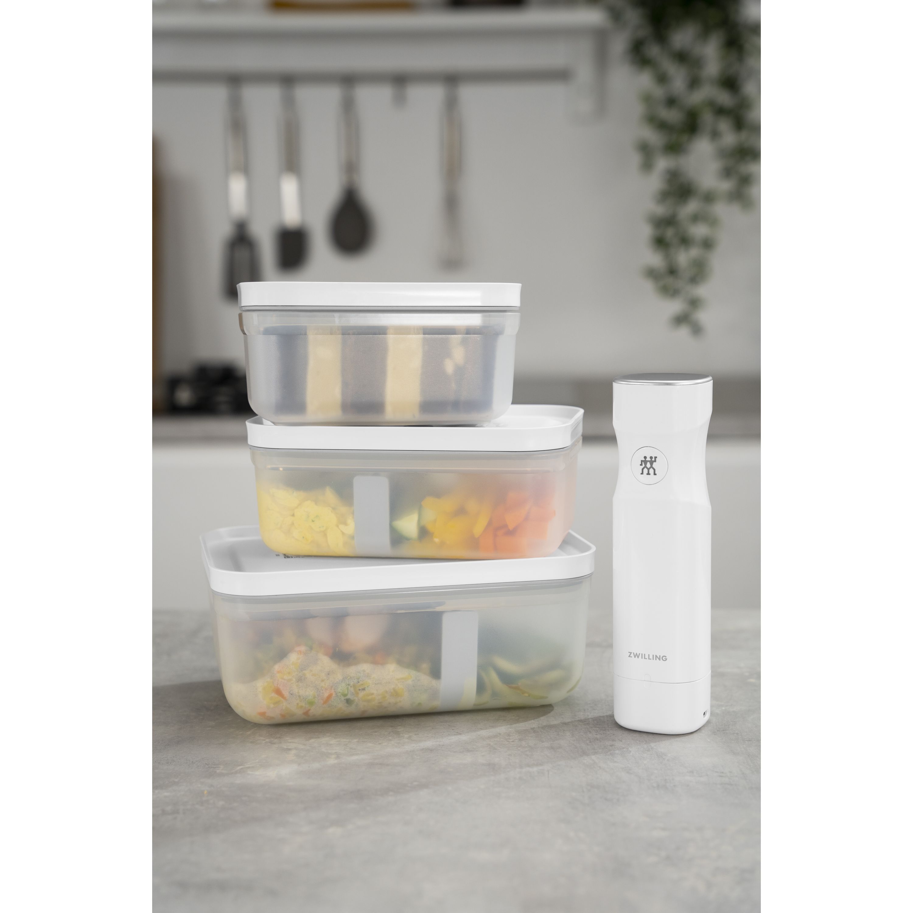 Zwilling Fresh & Save Plastic Flat Lunch Box Large Grey | Target