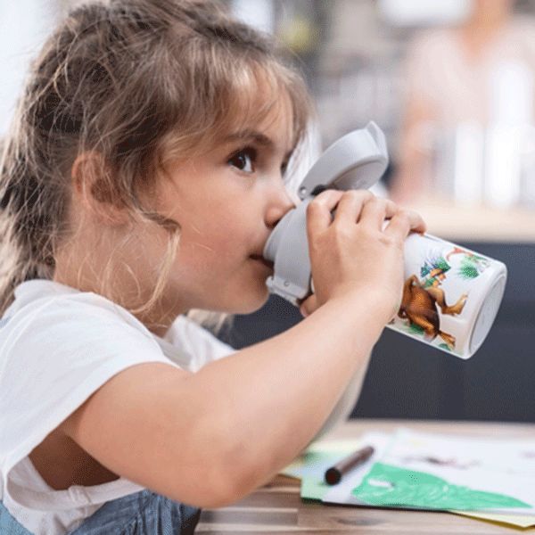 Personalised Dinosaur Drinks Bottle Kids Water Bottle Drink 