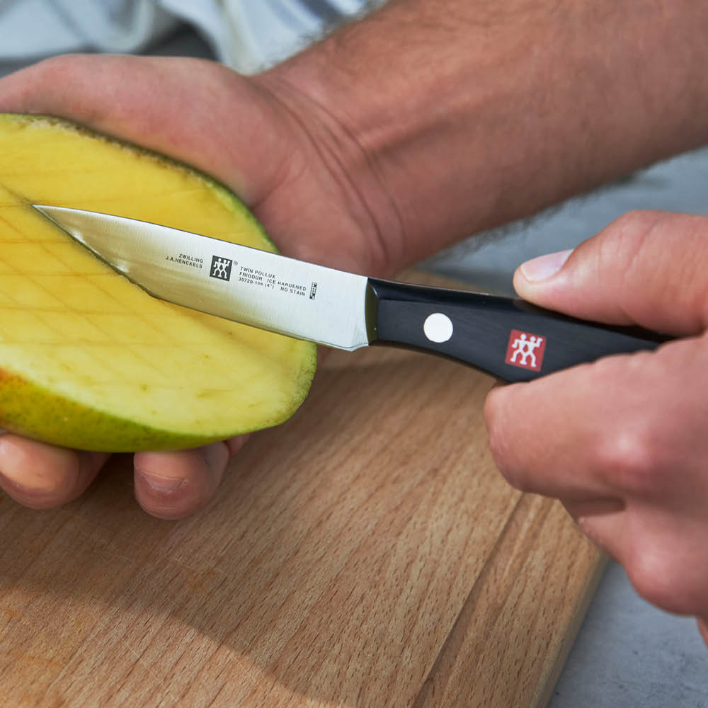 ZWILLING Twin Signature 4-inch Paring Knife, Razor-Sharp, Made in  Company-Owned German Factory with Special Formula Steel perfected for  almost 300